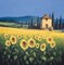 Golden Warmth Poster Print by David Short - Item # VARPDX8166